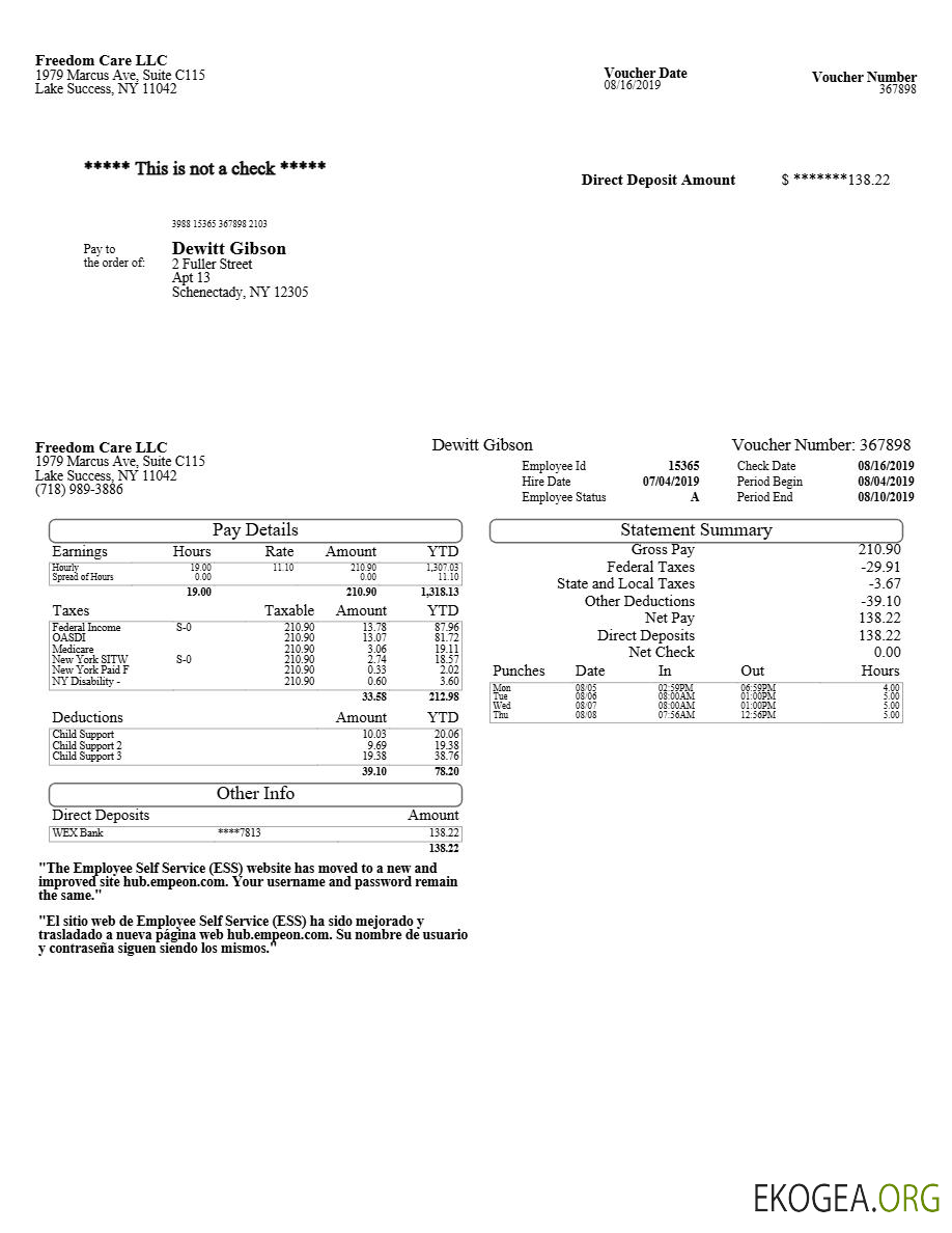 Modèle de bulletin de paie Freedom Care LLC aux formats Word et PDF.pdf, 1